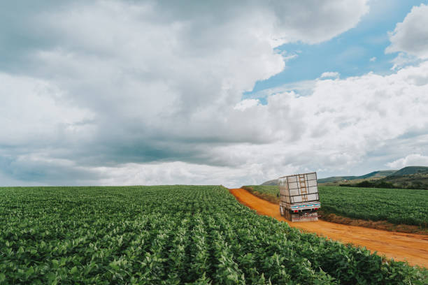 Export Quality Standards and Certifications for Agricultural Products