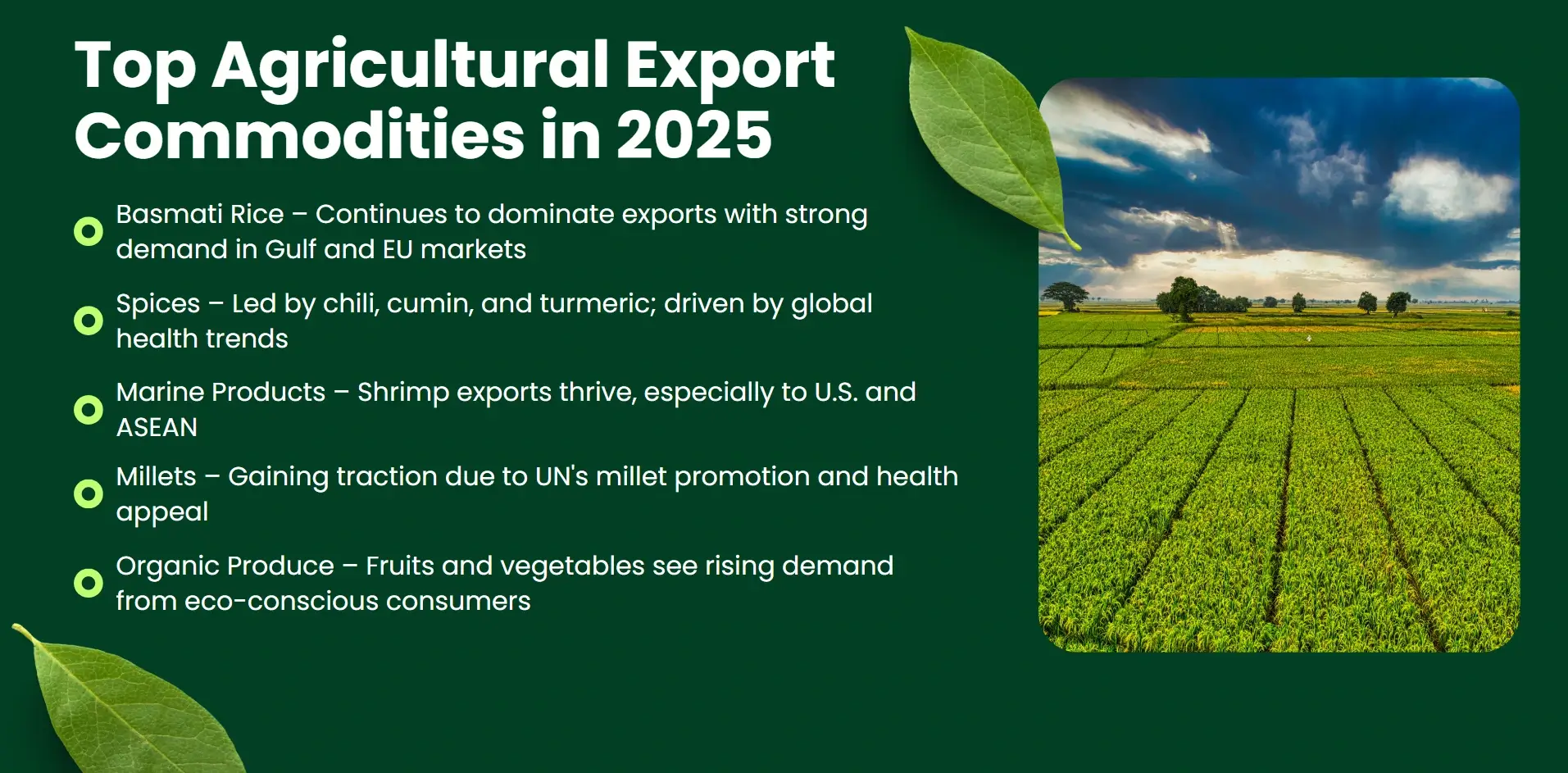 Global Market Trends and Opportunities in Agricultural Exports