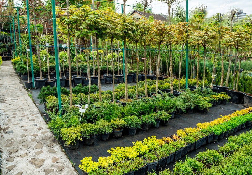 Nurseries & Plant Growing Units