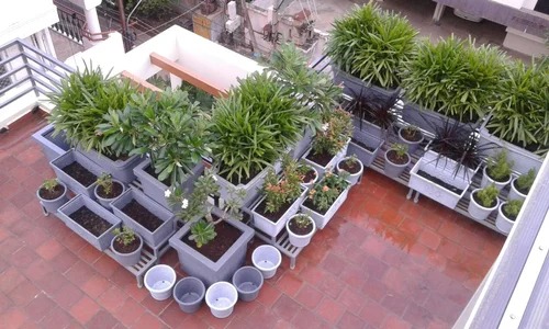 Home & Terrace Gardening